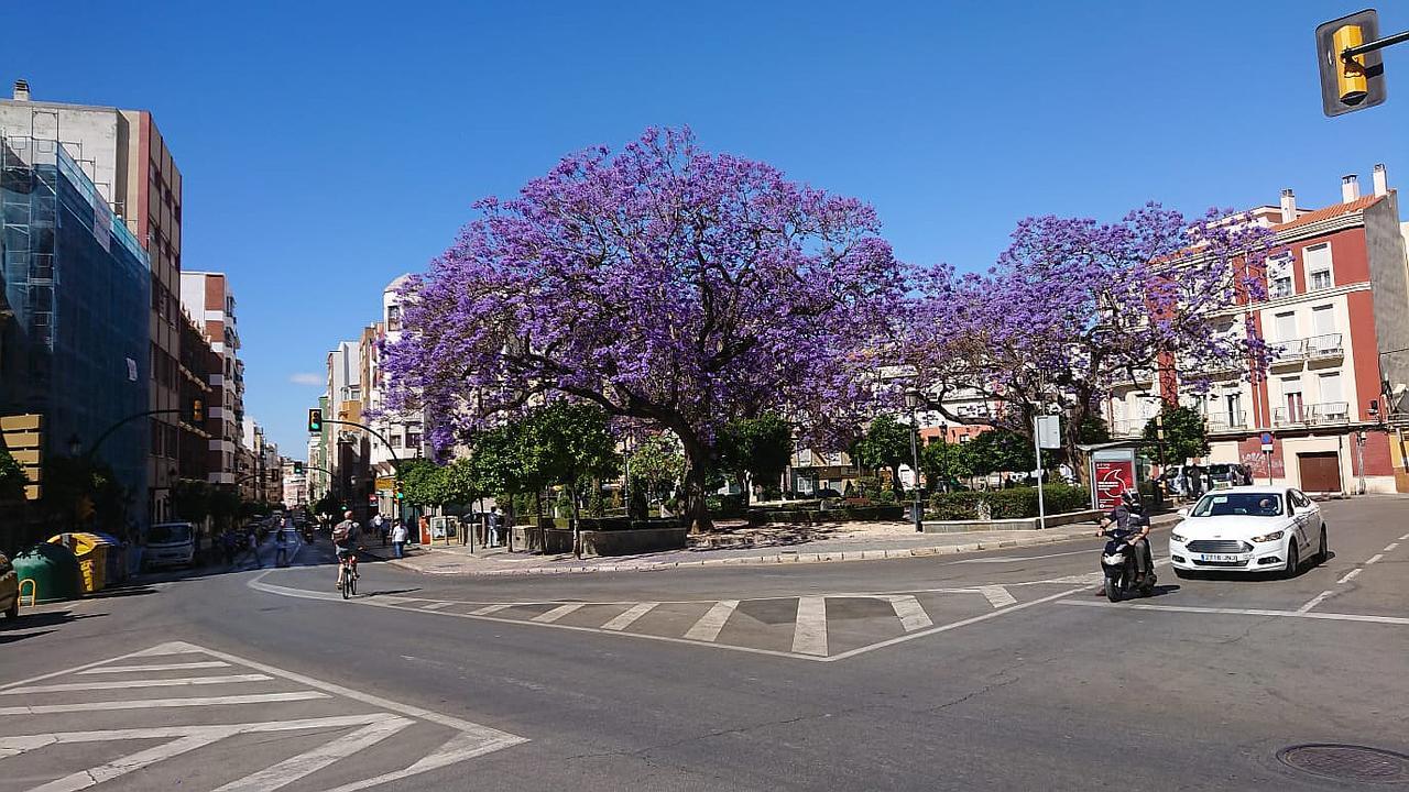 מאלגה Victoria Citycenter Apartment מראה חיצוני תמונה